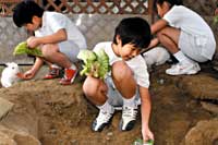 飼育小屋