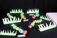 �p���N���G�C�V����2026�N ���g���E�`���C���h�����Ђ�Ă�